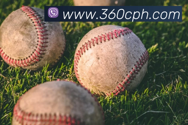 世界杯中国官网发展历程